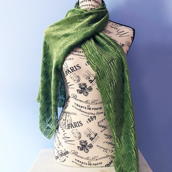 Museum of Fine Arts Boston Velvet Burnout Scart - Picture 3 of 5